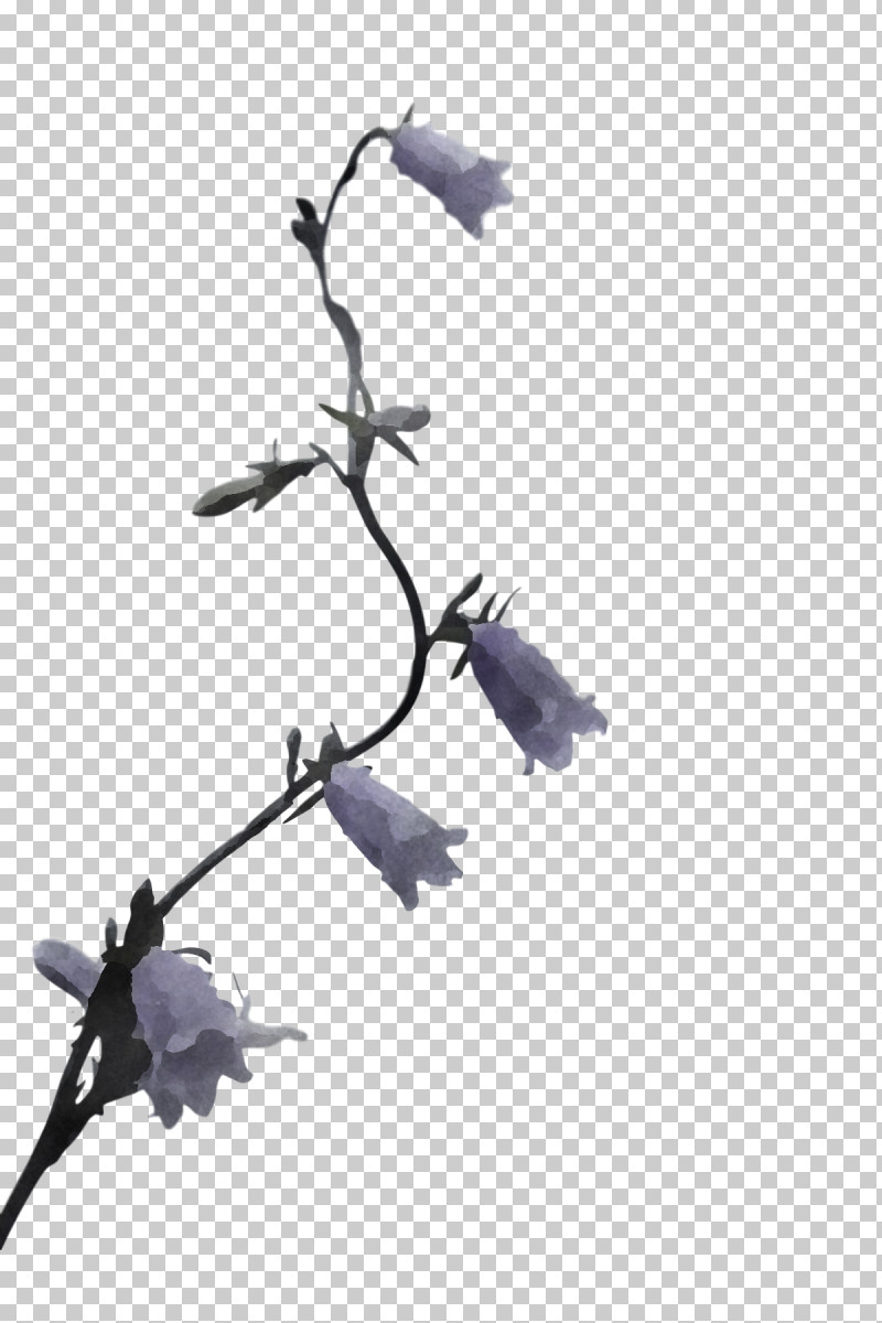 Twig Tree Purple Plants Biology PNG, Clipart, Biology, Plants, Purple, Science, Tree Free PNG Download