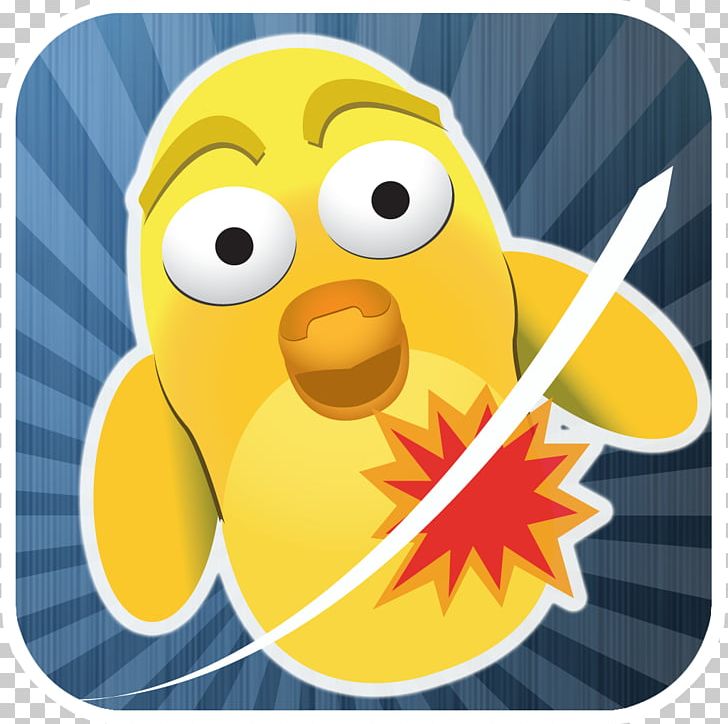 Beak PNG, Clipart, Apk, Beak, Bird, Cuckoo, Ent Free PNG Download