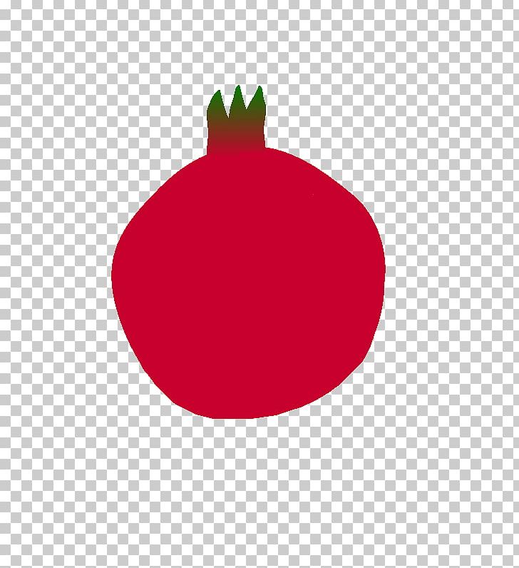 Christmas Ornament Fruit PNG, Clipart, Background, Christmas, Christmas Ornament, Circle, Drawing Free PNG Download