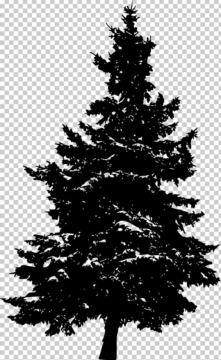 Pine Silhouette Fir Tree PNG, Clipart, Animals, Black And White, Branch, Christmas, Christmas Decoration Free PNG Download