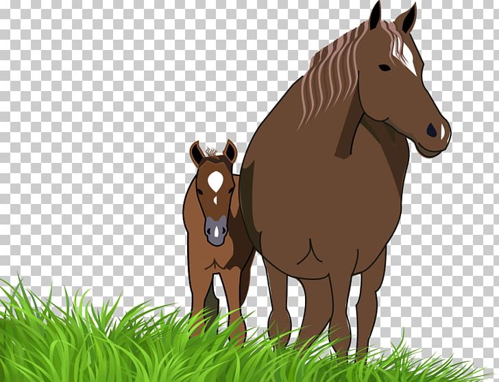 American Paint Horse American Quarter Horse Foal Mare Pony PNG, Clipart, American Quarter Horse, Bay, Black, Bridle, Colt Free PNG Download