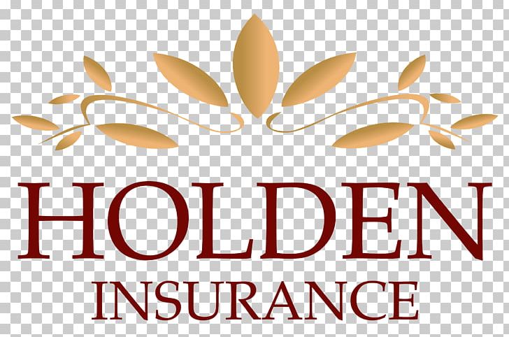 Business Lordos Beach Hotel Twin Falls Holden Financial Services PNG, Clipart, Brand, Business, Car Insurance, Commodity, Flower Free PNG Download