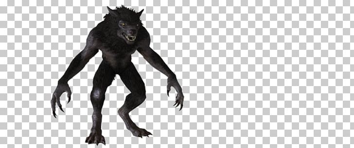 Bigfoot Werewolf Michigan Dogman Gray Wolf PNG, Clipart, Bigfoot, Black And White, Elder, Elder Scrolls, Fantasy Free PNG Download