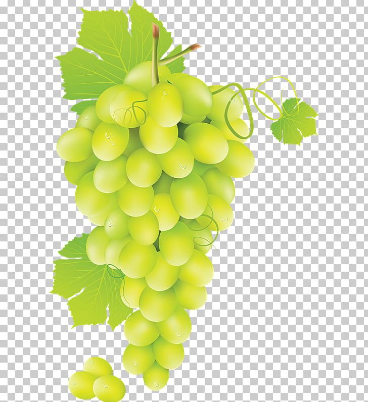 Chenin Blanc White Wine Grape PNG, Clipart, Berry, Chenin Blanc, Common Grape Vine, Food, Fruit Free PNG Download