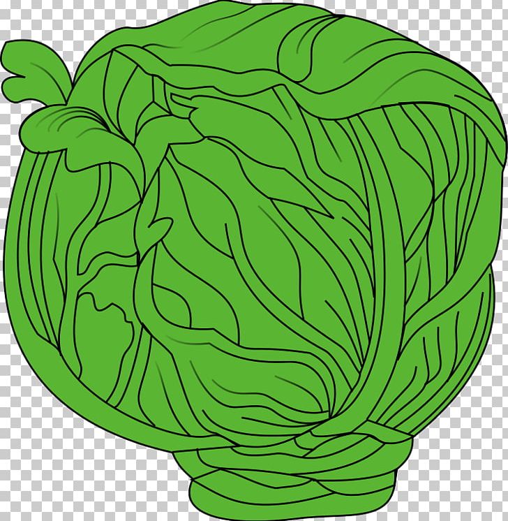 Thumbnail PNG, Clipart, Cabbage, Circle, Document, Flowering Plant, Food Free PNG Download
