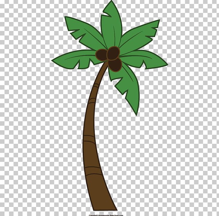 Tree Arecaceae PNG, Clipart, Arecaceae, Autumn, Branch, Christmas, Christmas Tree Free PNG Download