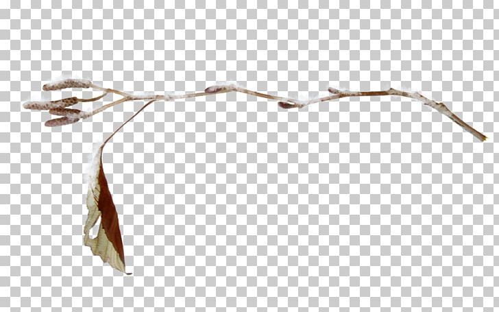 Wood /m/083vt PNG, Clipart, Branch, M083vt, Nature, Plant Stem, Tree Free PNG Download