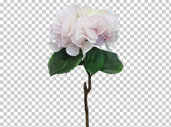 Cut Flowers Floral Design Plant Centifolia Roses PNG, Clipart, Artificial Flower, Centifolia Roses, Cornales, Cut Flowers, Floral Design Free PNG Download