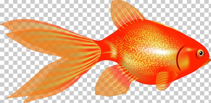 Goldfish Ornamental Fish PNG, Clipart, Animals, Aquarium, Bony Fish, Demiart, Digital Image Free PNG Download