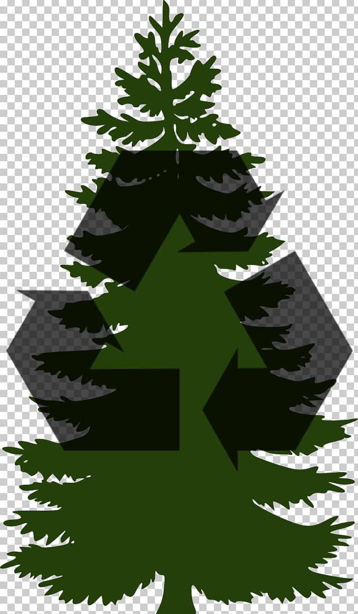 Pine Tree Computer Icons PNG, Clipart, Branch, Christmas Decoration, Christmas Ornament, Christmas Tree, Computer Icons Free PNG Download