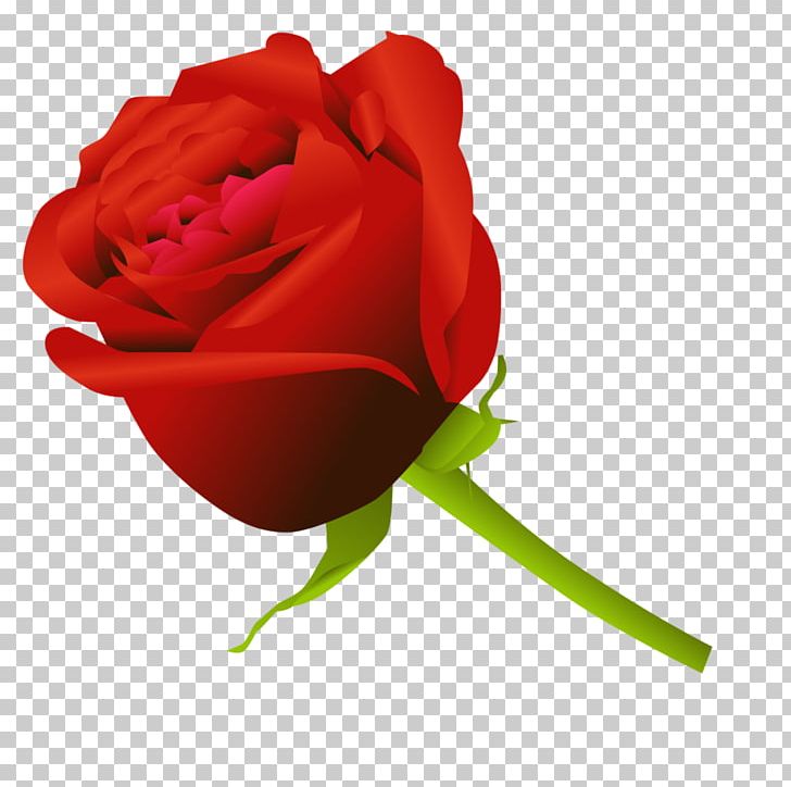 Rose Flower Drawing PNG, Clipart, Bud, China Rose, Cli, Closeup, Computer Wallpaper Free PNG Download