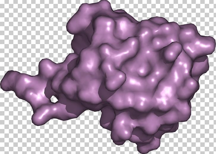 Ubiquitin Protein Cell Lysosome PyMOL PNG, Clipart, Active Transport, Autophagy, Avram Hershko, Biology, Cell Free PNG Download