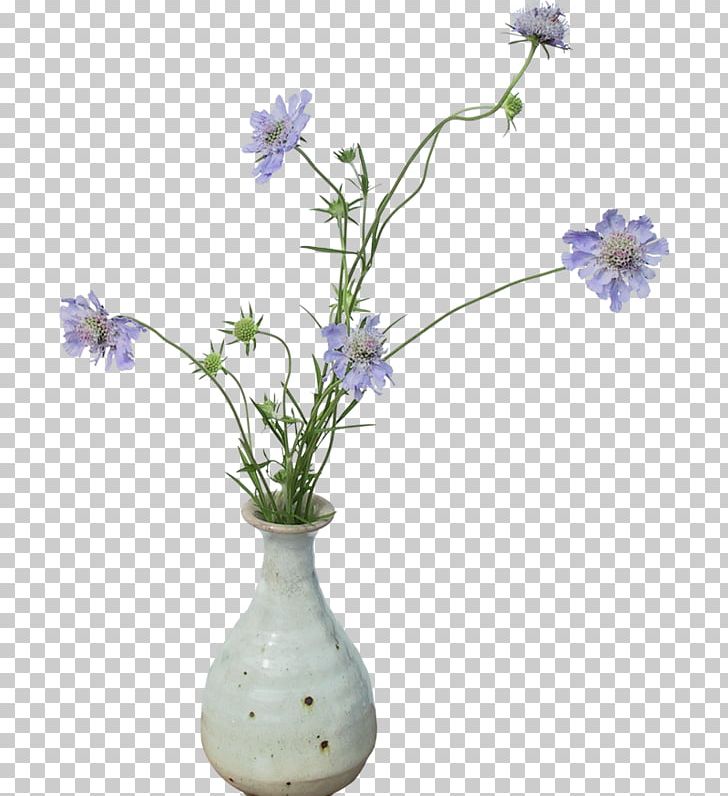 Vase Portable Network Graphics Flower PNG, Clipart, Branch, Chicory, Cicekler, Cut Flowers, Download Free PNG Download