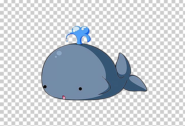 Baleen Whale Cartoon Dolphin PNG, Clipart, Animal, Animals, Animation, Balloon Cartoon, Blue Free PNG Download