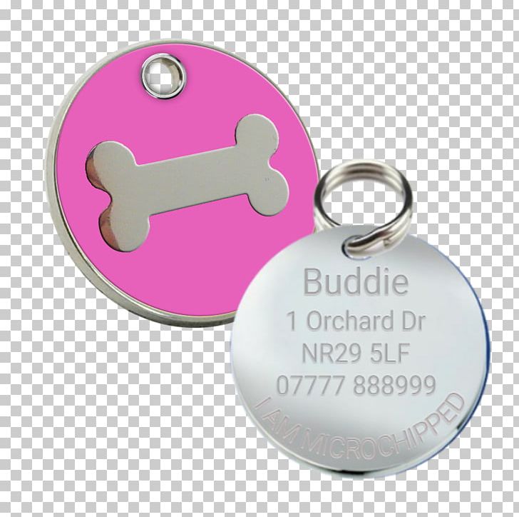 Dog Tag Cat Pet Tag PNG, Clipart, Animals, Body Jewelry, Cat, Chain, Charms Pendants Free PNG Download