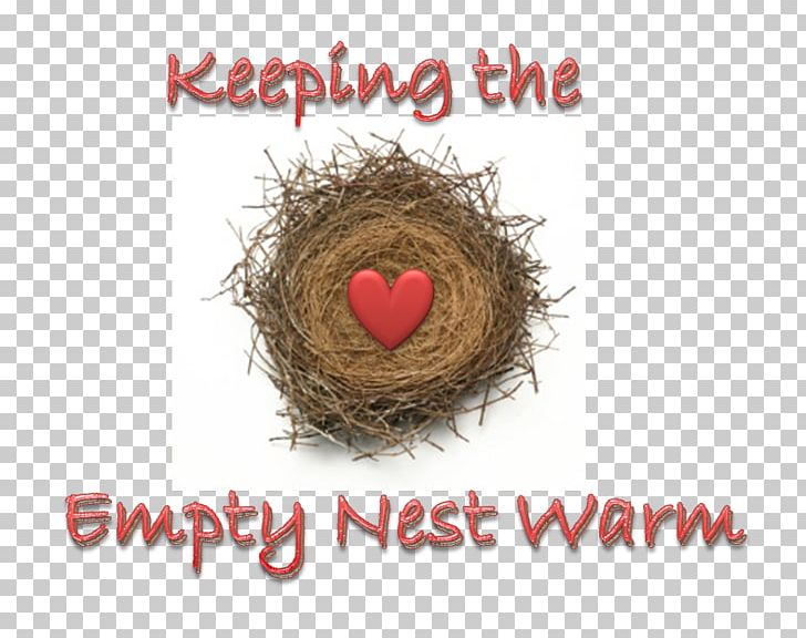 Empty Nest Syndrome Keeping Quilt Child Photography PNG, Clipart, Bird Nest, Child, Depression, Empty Nest, Empty Nest Syndrome Free PNG Download
