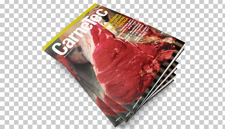 Latin America Brand Press Kit Promotion PNG, Clipart, Americas, Brand, Business, Eat Meat, Latin Free PNG Download
