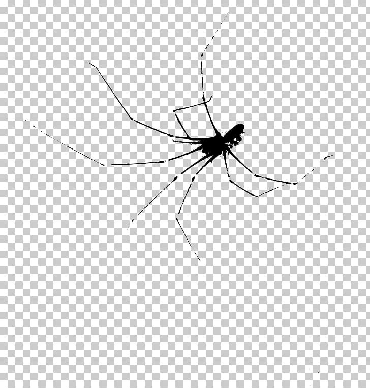 Widow Spiders Insect Mosquito Black And White PNG, Clipart, Angle, Arachnid, Arthropod, Black And White, Fly Free PNG Download