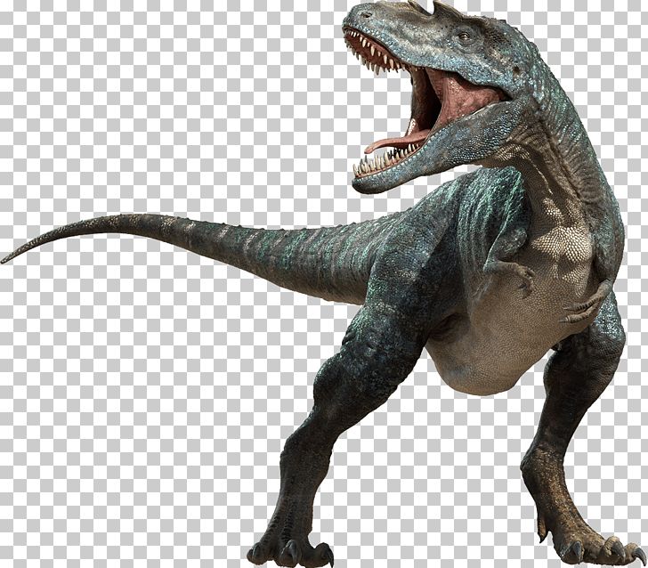 Dinosaur Velociraptor PNG, Clipart, Clip , Computer Icons, Dino Png, Dinosaur, Dinosaur Fossils Free PNG Download