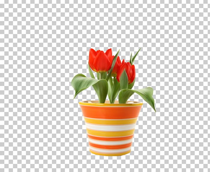 Flowerpot Saucer Plastic Crock Tulip PNG, Clipart, Crock, Cut Flowers, Flower, Flowering Plant, Flowerpot Free PNG Download
