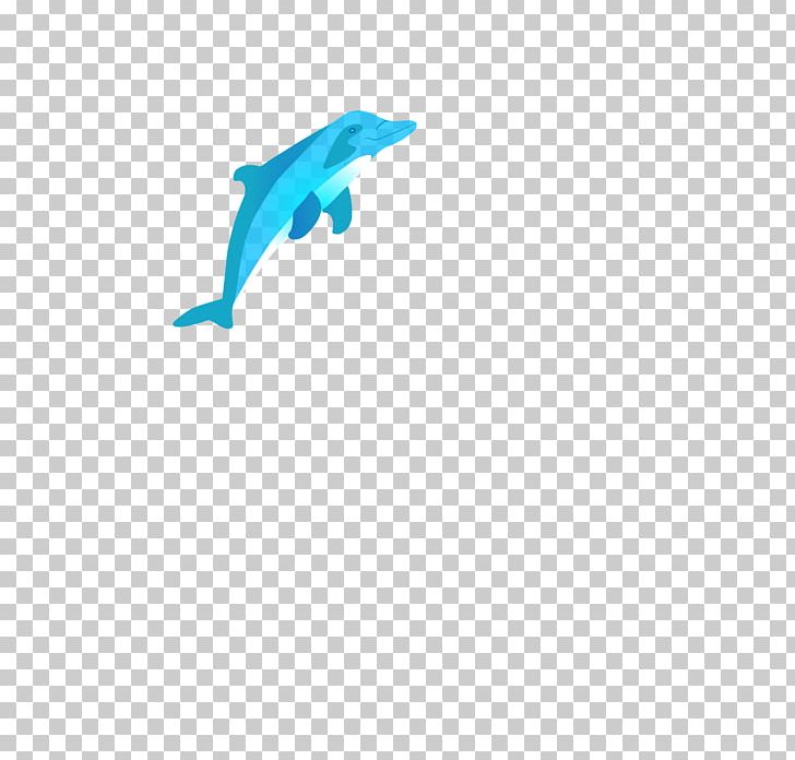 Indo-Pacific Humpbacked Dolphin Graphics Mammal PNG, Clipart, Animal, Animals, Aqua, Bottlenose Dolphin, Cartoon Free PNG Download