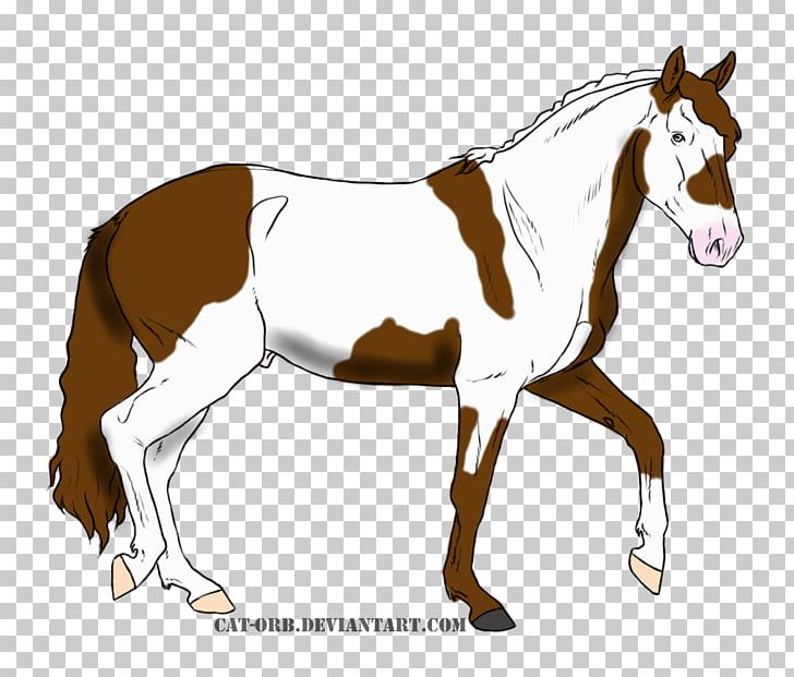Mule Foal Stallion Mare Colt PNG, Clipart, Bridle, Colt, Equestrian, Foal, Halter Free PNG Download