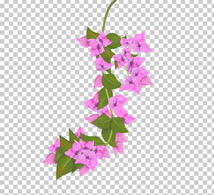 Petal Floral Design Flowering Plant Leaf PNG, Clipart, Art, Bougainvillea, Branch, Branching, Flora Free PNG Download
