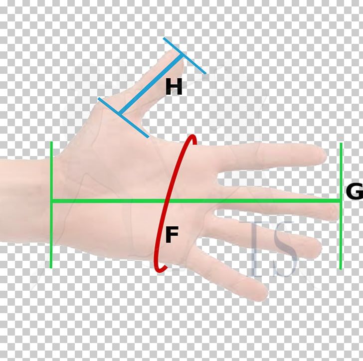 Thumb Hand Model Line Medical Glove PNG, Clipart, Angle, Arm, Art, Finger, Hand Free PNG Download