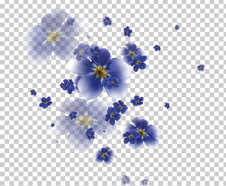 Flower Petal Desktop Leaf PNG, Clipart, Beautiful Life, Blossom, Blouse, Blue, Borage Family Free PNG Download