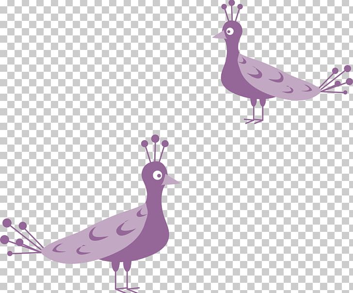 Peafowl Bird Illustration PNG, Clipart, Abstract, Animal, Animals, Beak, Cartoon Free PNG Download