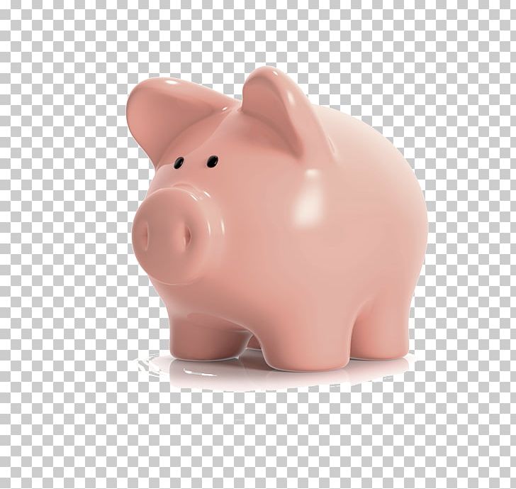Piggy Bank Snout Product Design PNG, Clipart, Bank, Dental Braces, Mammal, Nose, Pig Free PNG Download