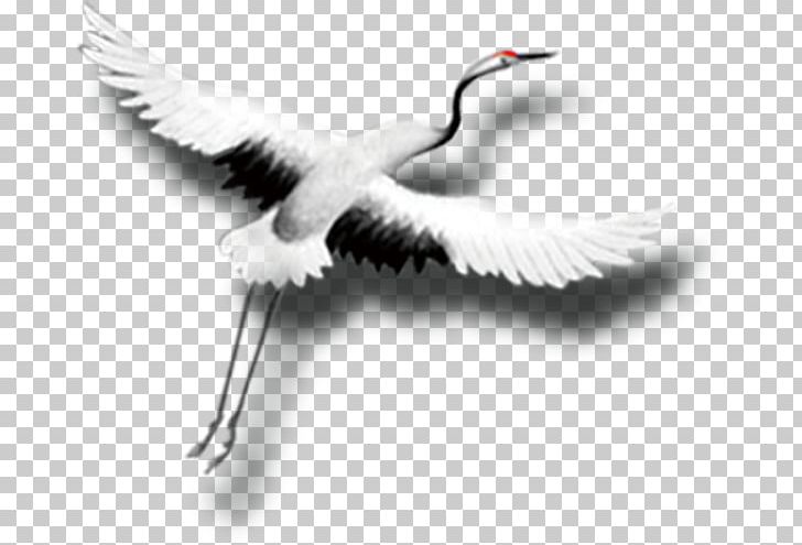 Red-crowned Crane China PNG, Clipart, Beak, Bird, Black And White, China, China Flag Free PNG Download