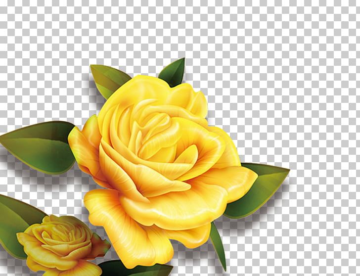 Rose Yellow Flower High-definition Television PNG, Clipart, Blue, Blue Rose, Color, Cut Flowers, Display Resolution Free PNG Download