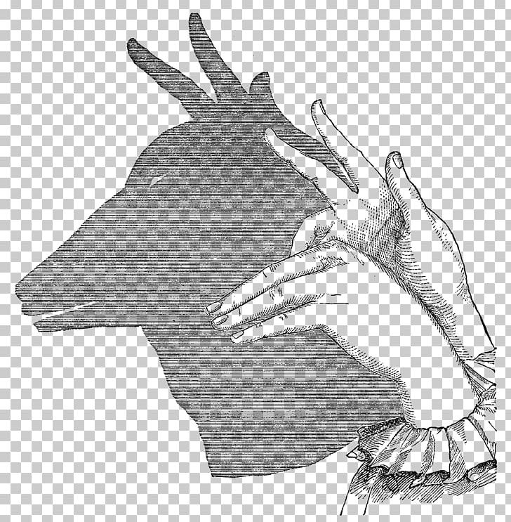 Shadow Play Puppetry Shadowgraphy PNG, Clipart, Angle, Arm, Art, Black And White, Drawing Free PNG Download