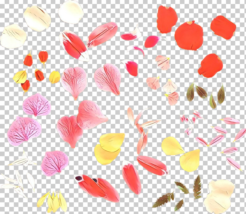 Petal Pink Leaf Plant Pattern PNG, Clipart, Flower, Leaf, Pedicel, Petal, Pink Free PNG Download