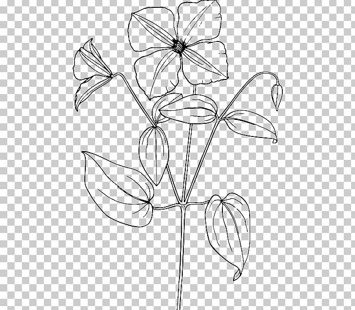 Arabian Jasmine Drawing Flower Sketch PNG, Clipart, Angle, Arabian Jasmine, Area, Artwork, Black And White Free PNG Download