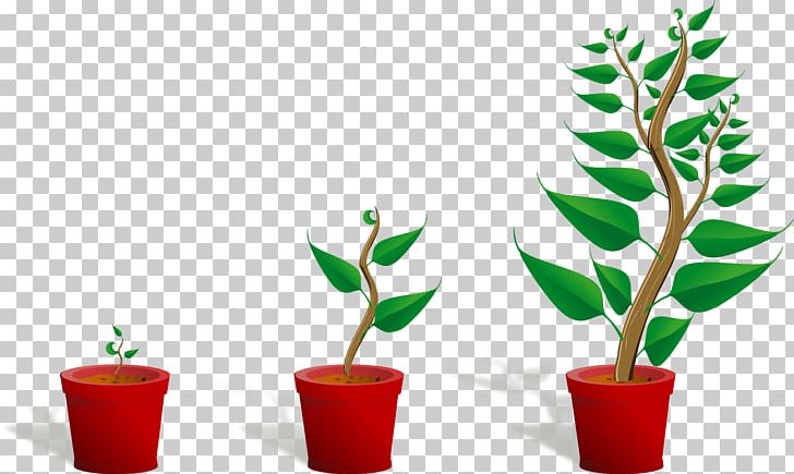 Bonsai Seedling Computer File PNG, Clipart, Adobe Illustrator, Bonsai, Download, Encapsulated Postscript, Flower Pot Free PNG Download