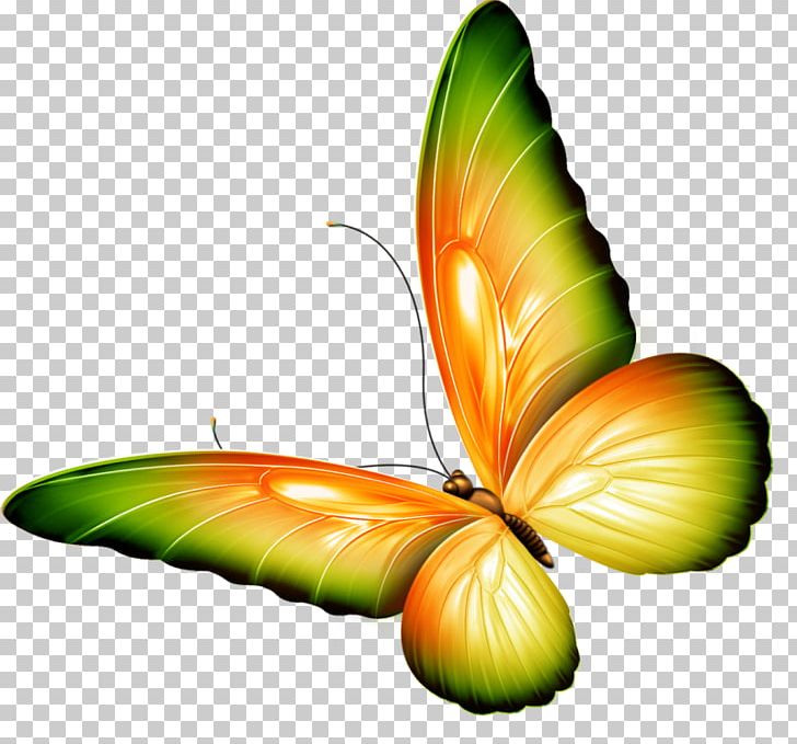 Brush-footed Butterflies Butterfly The Beautiful Garden Poems By Chinyere Nwakanma PNG, Clipart, Arthropod, Brush Footed Butterfly, Butterfly, Chinyere Nwakanma, Green Free PNG Download
