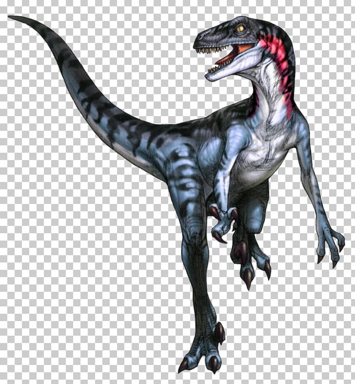 Velociraptor Utahraptor Tyrannosaurus Dinosaur Theropods PNG, Clipart, Animal Figure, Campanian, Cretaceous, Dino Crisis, Dinosaur Free PNG Download