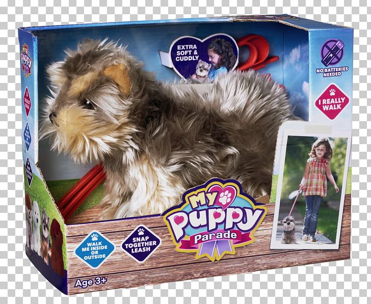 Yorkshire Terrier Puppy Morkie Bichon Frise Shih Tzu PNG, Clipart, Animals, Bichon, Bichon Frise, Carnivoran, Cat Free PNG Download