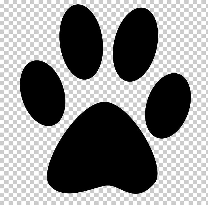 Cat Dog Paw Kitten Felidae PNG, Clipart, Animal, Animal Track, Black, Black And White, Black Cat Free PNG Download