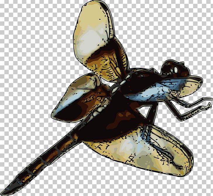 Insect Dragonfly Libellula Damselfly PNG, Clipart, Animals, Bee, Butterflies And Moths, Butterfly, Computer Icons Free PNG Download