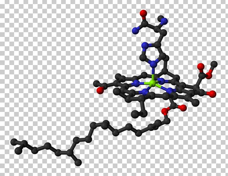 Chlorophyll A Ball-and-stick Model Molecule Chemistry PNG, Clipart, Atom, Ballandstick Model, Body Jewelry, Bristol, Cation Free PNG Download