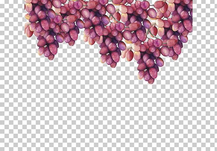 Grape Watercolor Painting Drawing PNG, Clipart, Button, Creative Market, Fruit, Fruit Nut, Grape Juice Free PNG Download