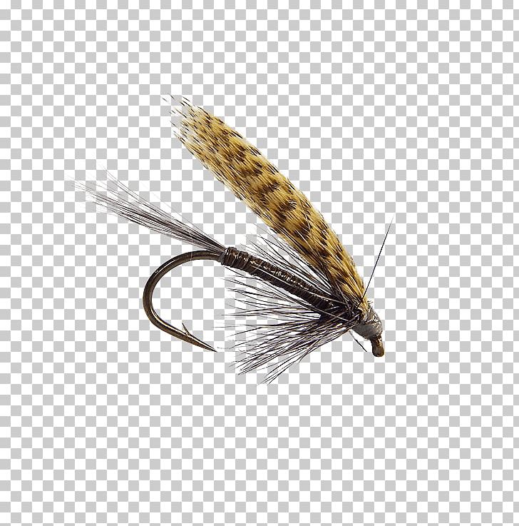 Quill Gordon Artificial Fly Emergers Fly Fishing Insect PNG, Clipart, Animals, Artificial Fly, Email, Fishing Bait, Fishing Lure Free PNG Download