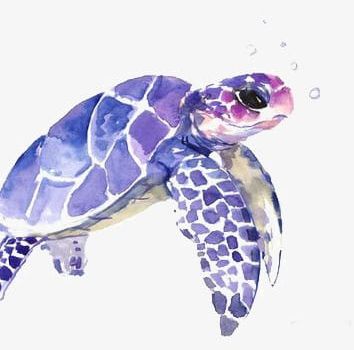 Sea Turtle PNG, Clipart, Animal, Art, Cartoon, Fresh, Hand Free PNG Download