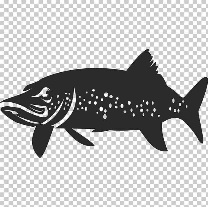 Shark Black Carnivores Mammal Fauna PNG, Clipart, Animals, Black, Black And White, Black M, Carnivoran Free PNG Download