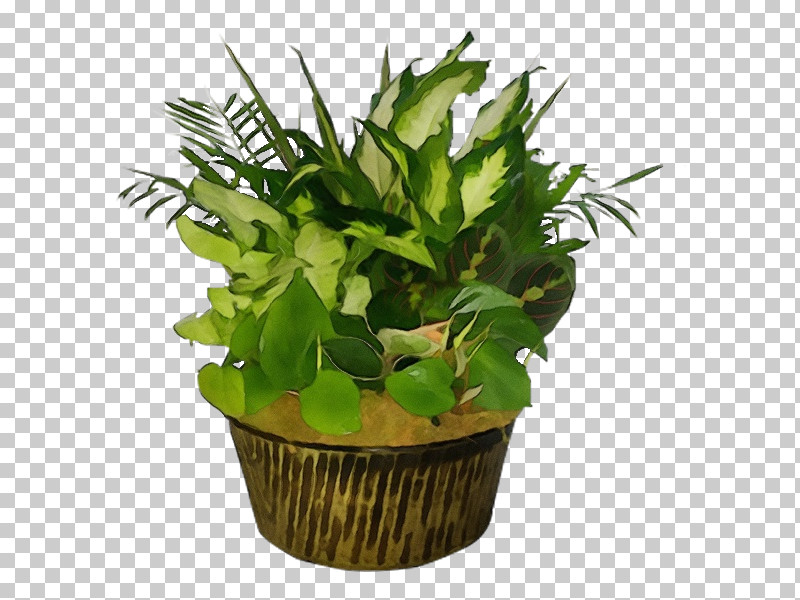 Leaf Flowerpot Houseplant Herb Biology PNG, Clipart, Biology, Flowerpot, Herb, Houseplant, Leaf Free PNG Download