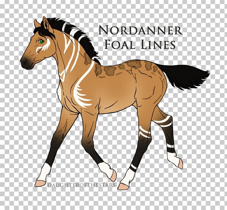 Foal Mare Pony Colt Stallion PNG, Clipart, Bridle, Colt, Foal, Gray, Grullo Free PNG Download