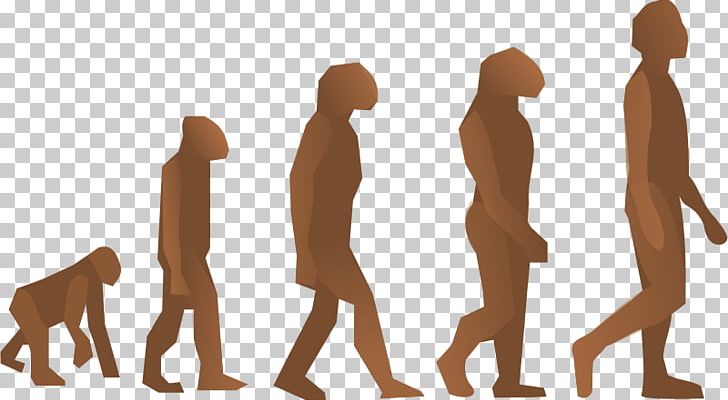 Human Evolution Homo Sapiens Origen Del Hombre Natural Selection PNG, Clipart, Arm, Biology Cliparts, Carnivoran, Charles Darwin, Dog Like Mammal Free PNG Download